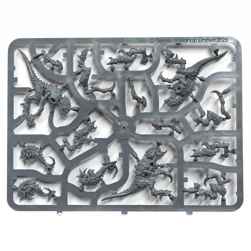 「ターマガント」のランナー