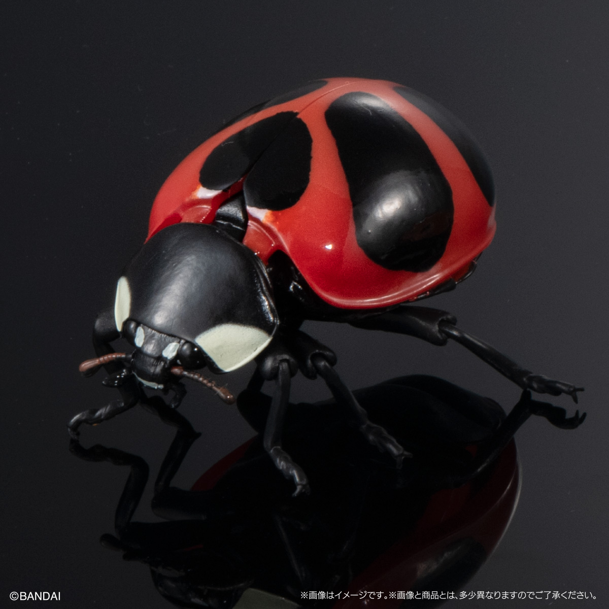 ダイモンテントウ