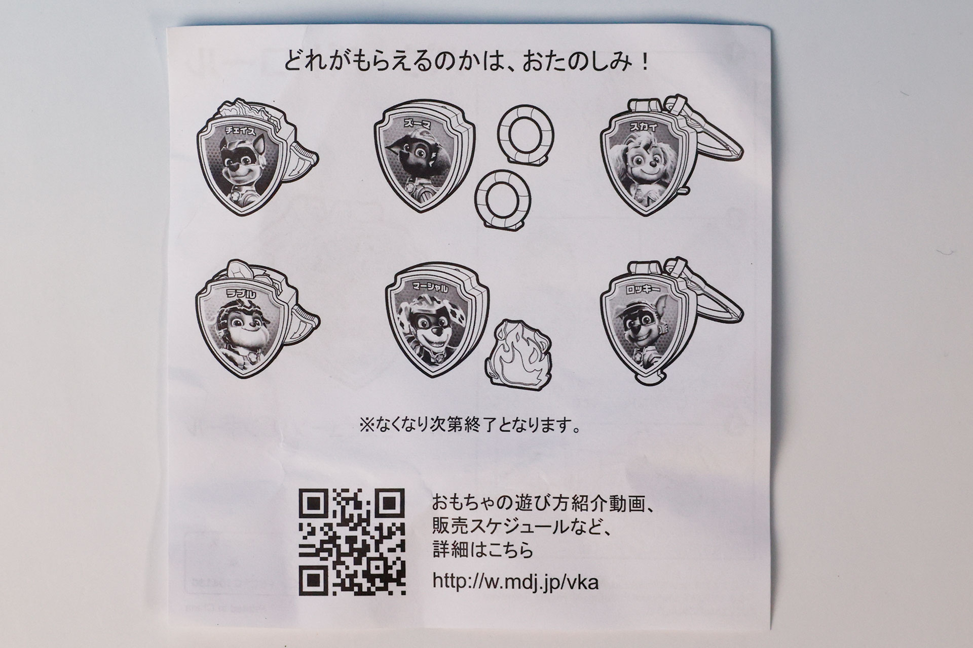 説明書の裏面はすべてのおもちゃに共通したものとなっている
