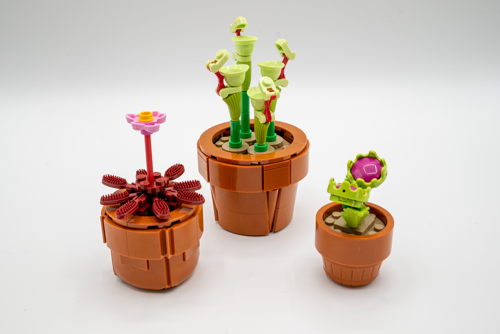 ハエトリグサ＆ウツボカズラ＆ピッチャープラント