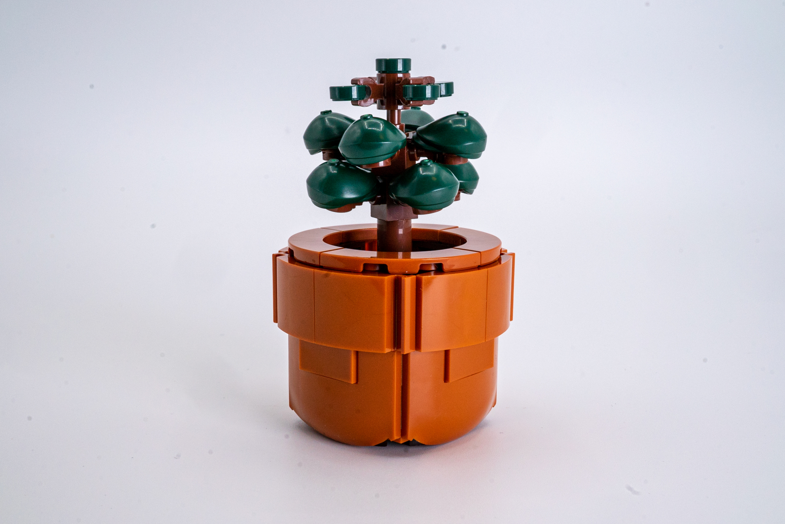 完成したカネノナルキ。ミニマムサイズだがとてもリアル