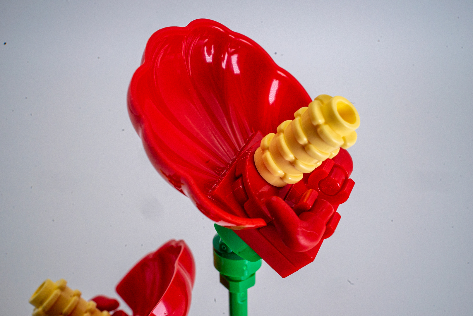 アンスリウムの花部分は貝殻のパーツを利用。貝のディテールが花びらに見える！