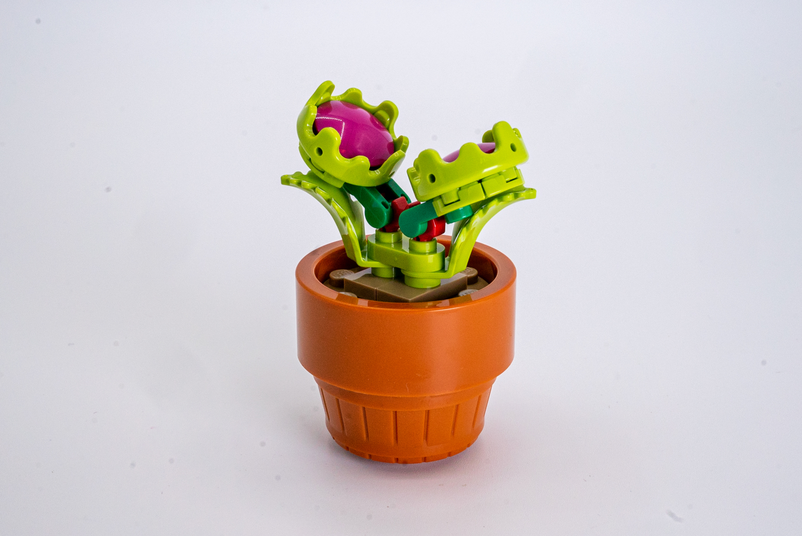 完成したハエトリグサ。そのディテールには隙がない