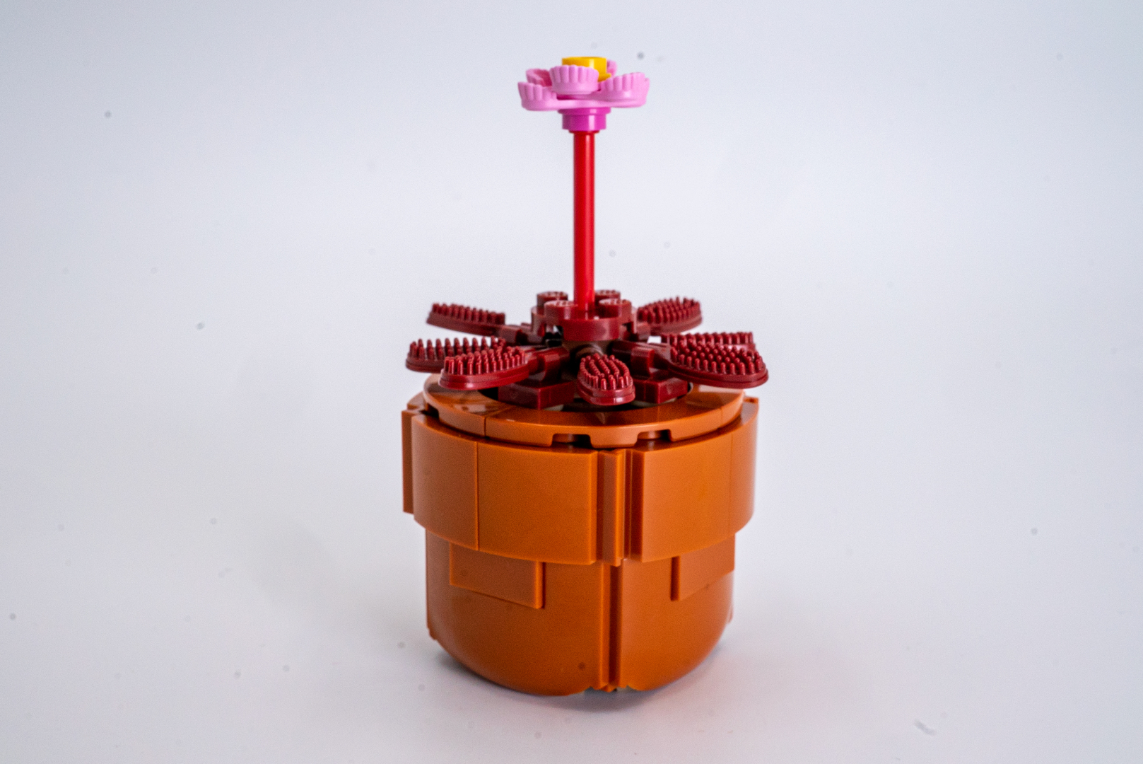 モウセンゴケの完成形。単純な構成だが自分で考えるとなかなか出てこないかも