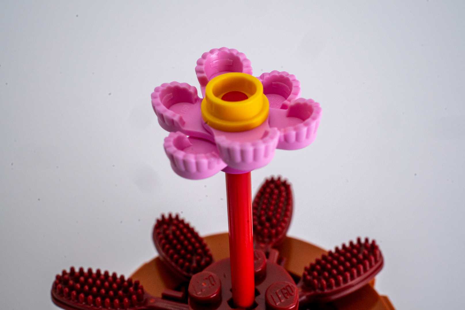 ビンクの肩章と穴空きの丸プレートはもう花にしか見えない