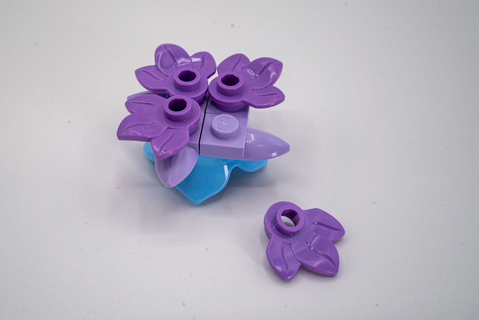 多肉植物の肥大した茎を葉や歯のパーツで表現している。歯を使ったのはまさかシャレ？