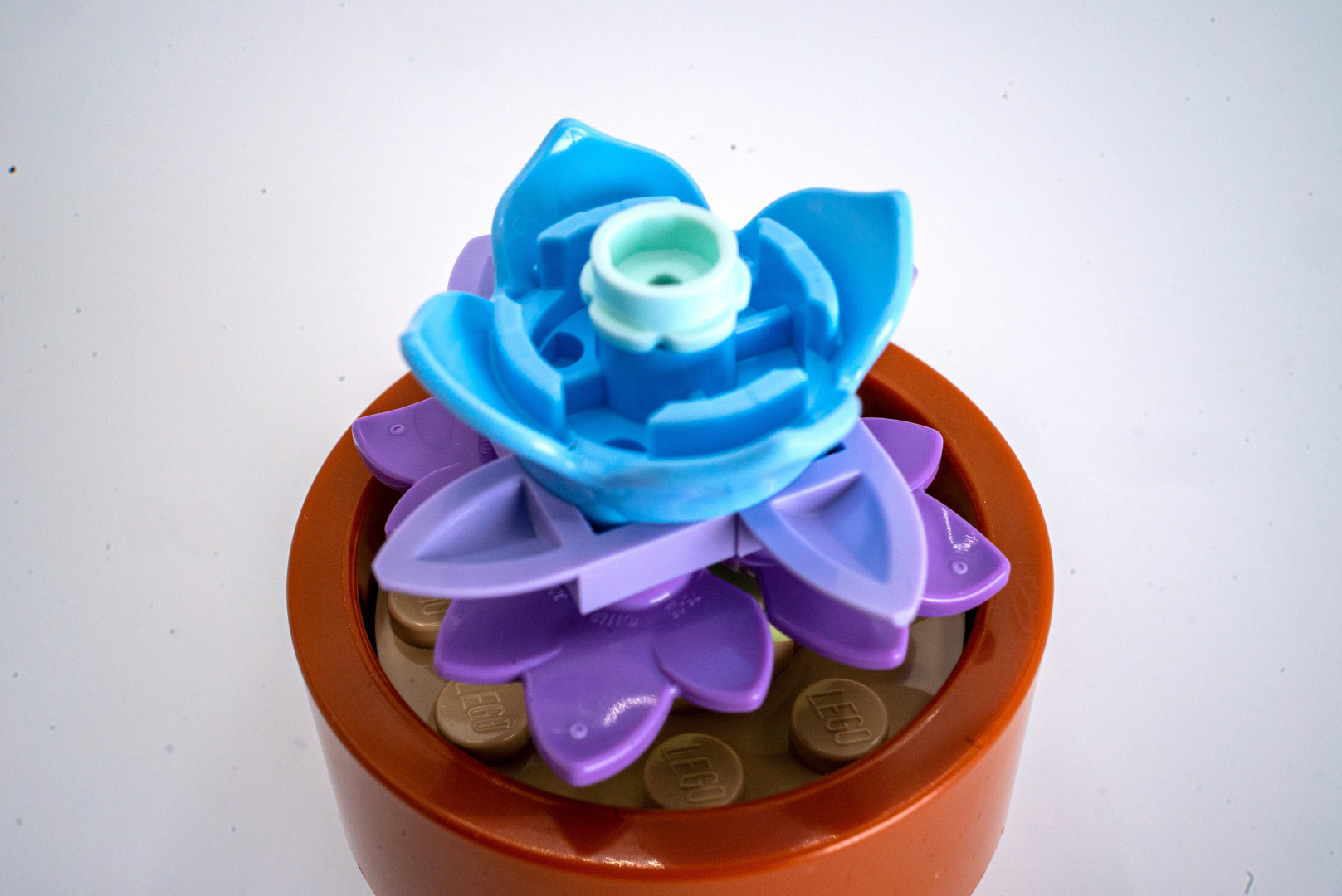 色味の違うパープル系パーツを組み合わせることで立体感が高まる