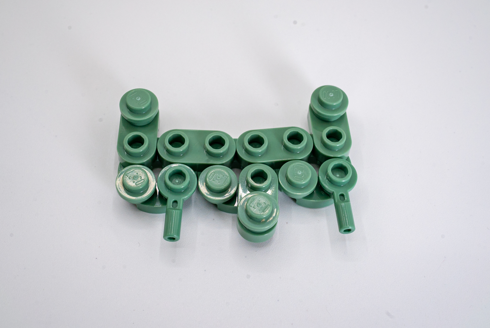 サボテンの内部はロボットのような組み方をしている