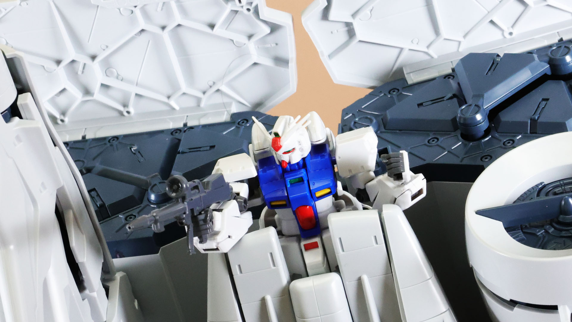 デンドロビウムをGスカイ的に使用するコウの戦法！