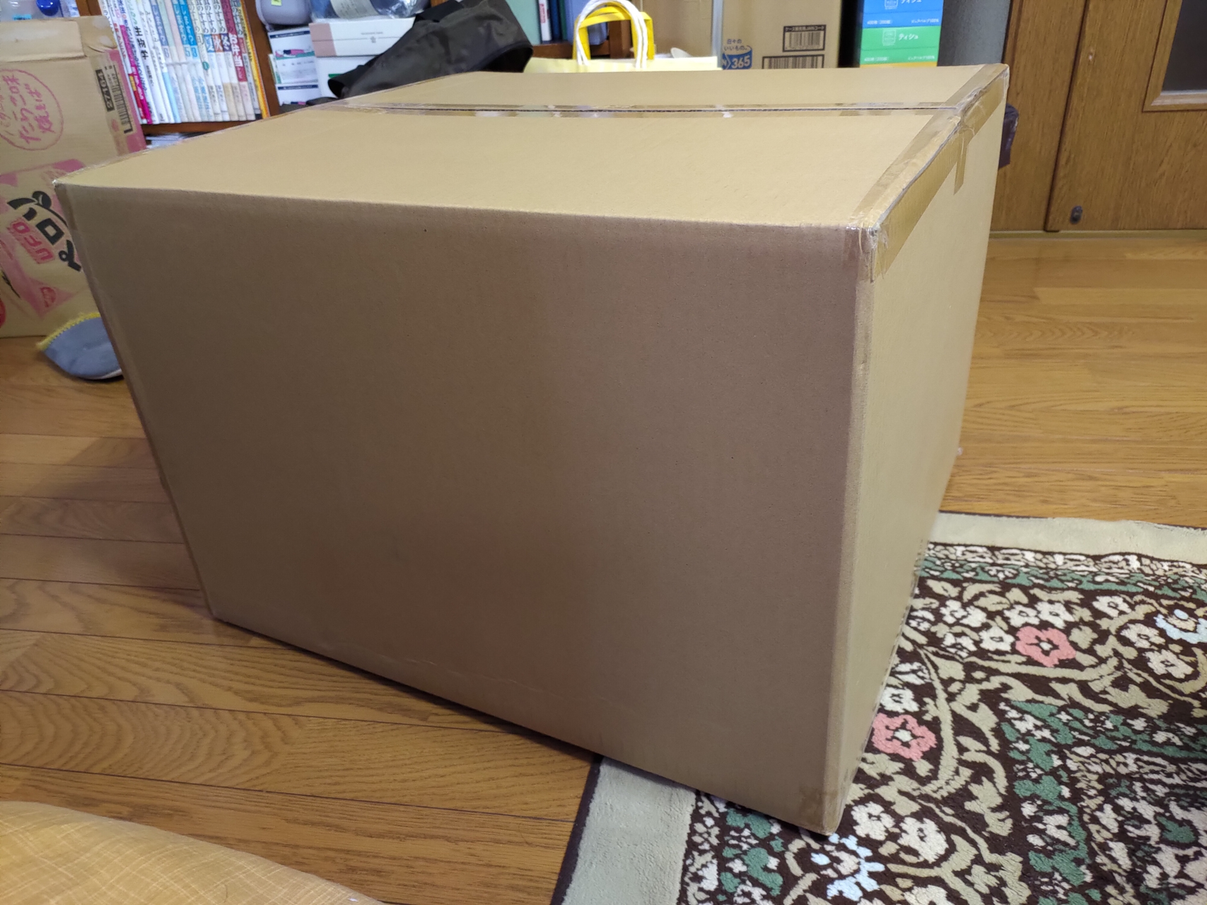 今回到着した段ボールは、横60cm×高さ42cm×奥行56cmとかなりの大きさ！