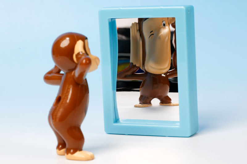 鏡にジョージの姿を映してみよう！