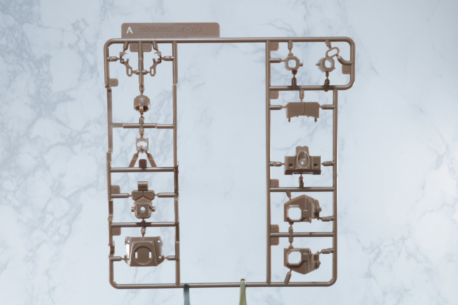 Fパーツは塗装済みパーツが入っている