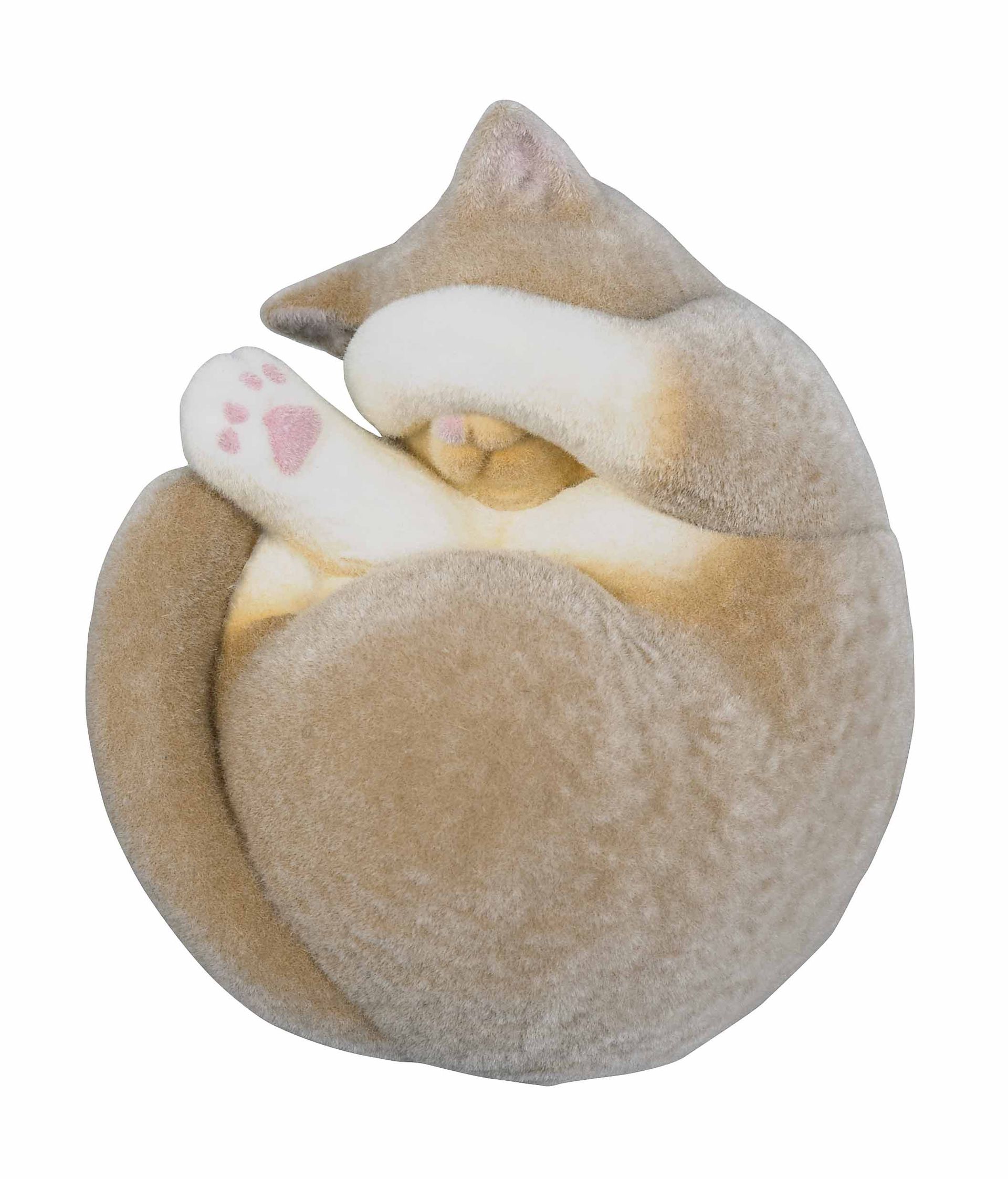 片手隠し-茶トラ-