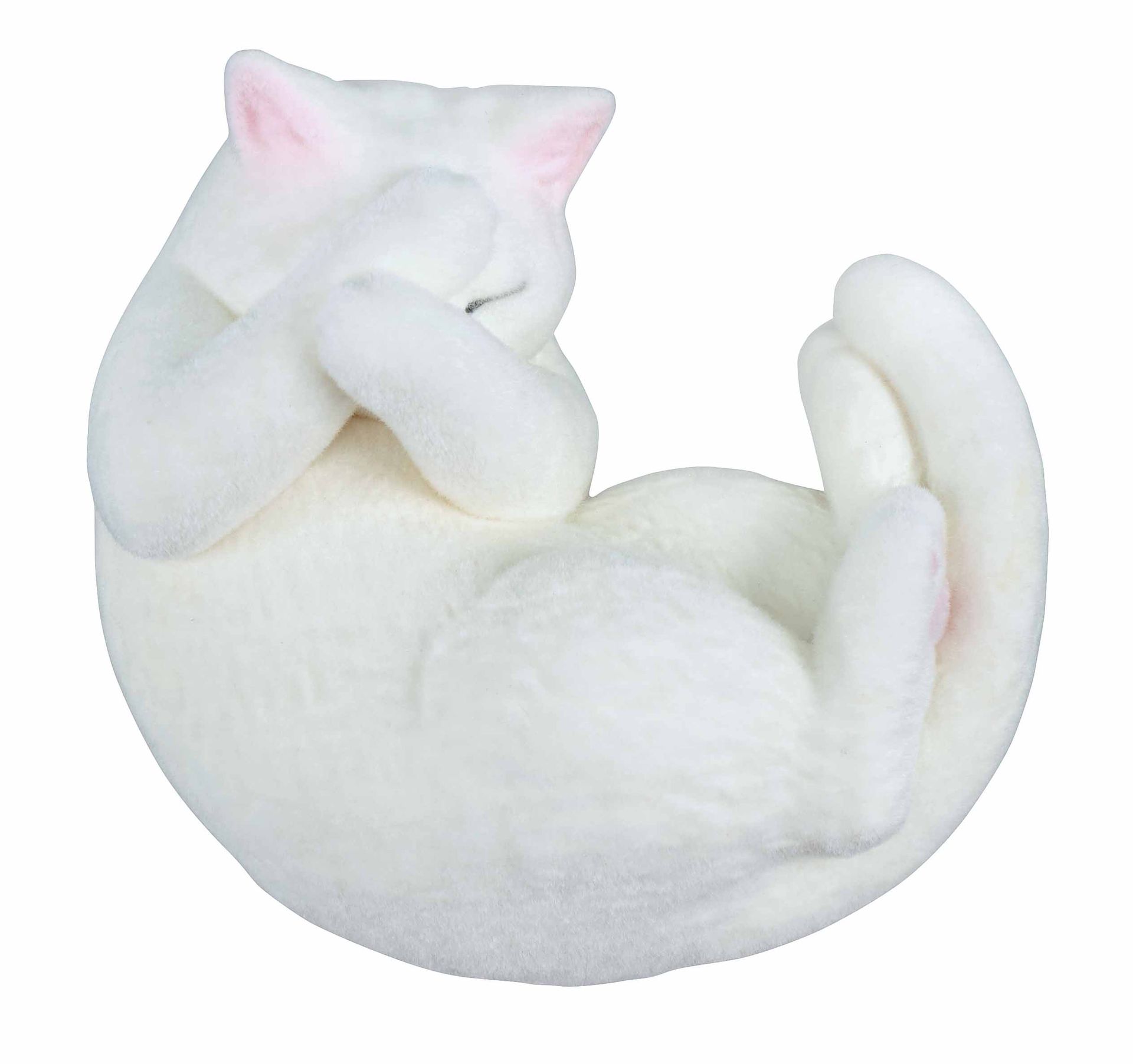 両手隠し-白猫-