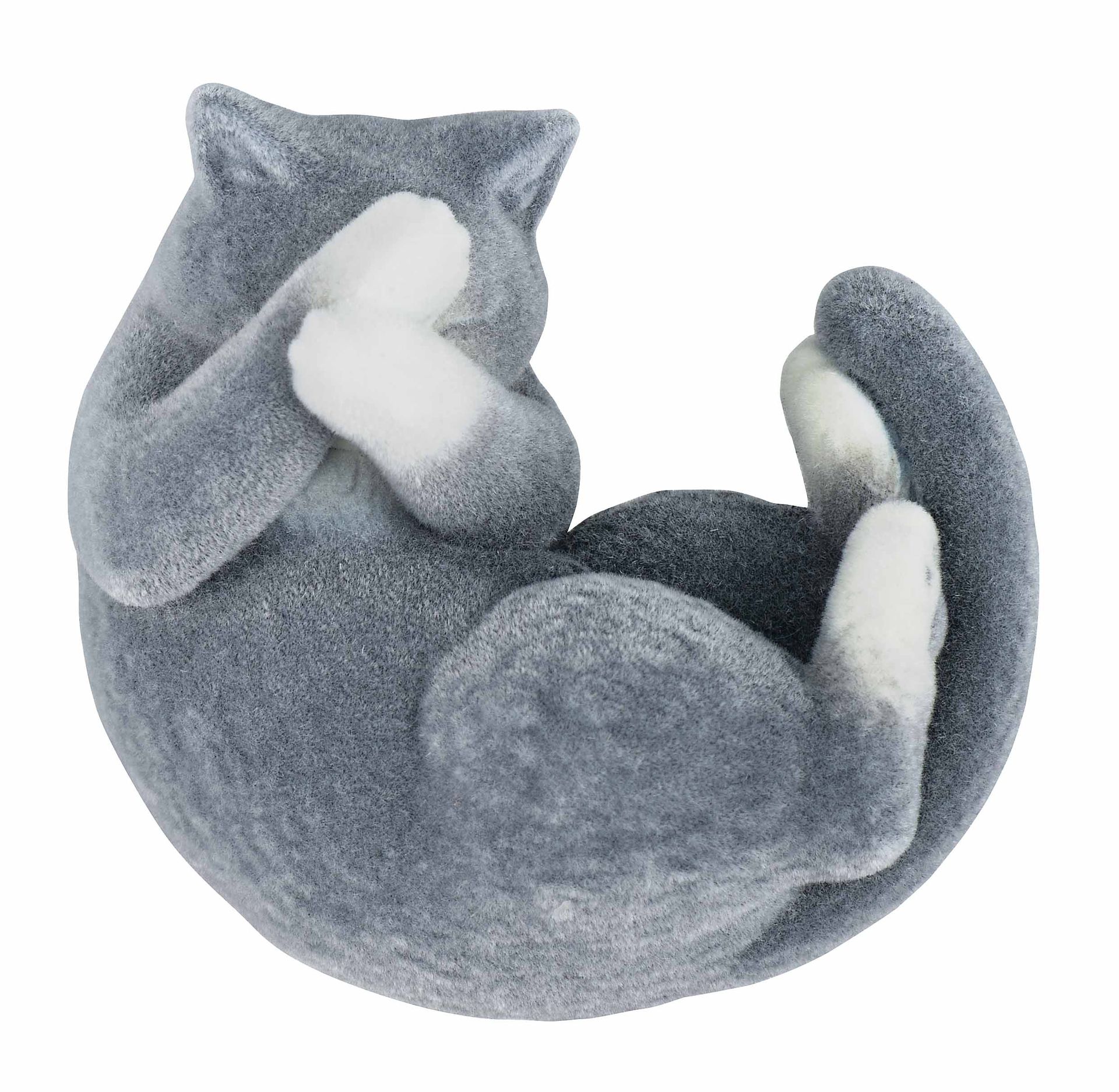 両手隠し-黒ハチワレ-