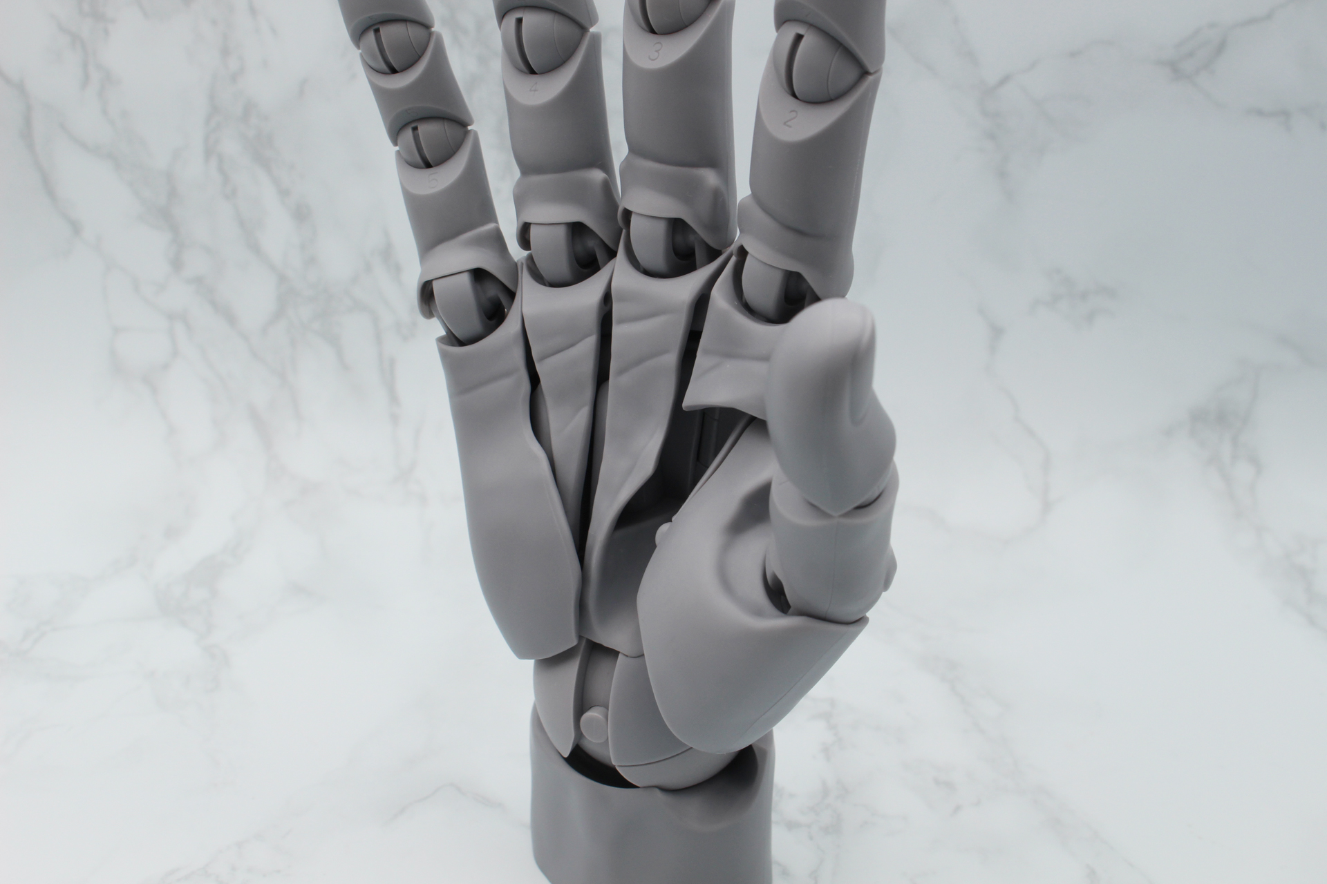 手のひらには手相の線もある