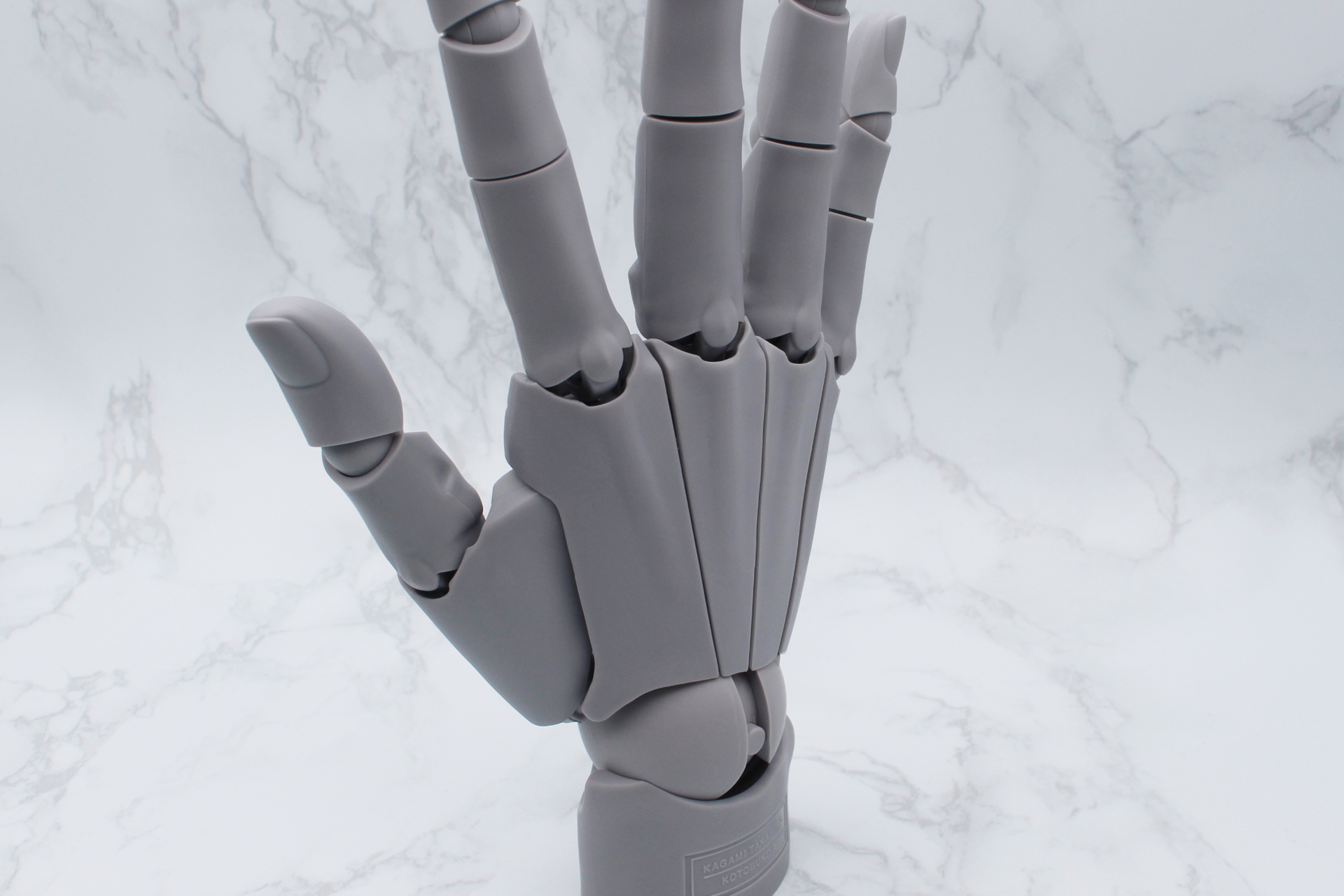 手の甲には筋も見られる