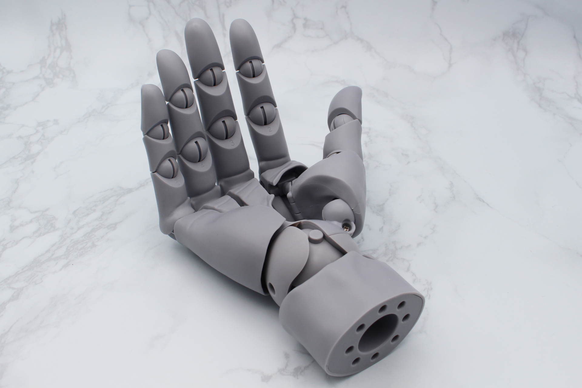 人の手にも水かきがあり、第3関節は指の付け根ではなく手のひらで曲がるようになっていて、それを忠実に再現している