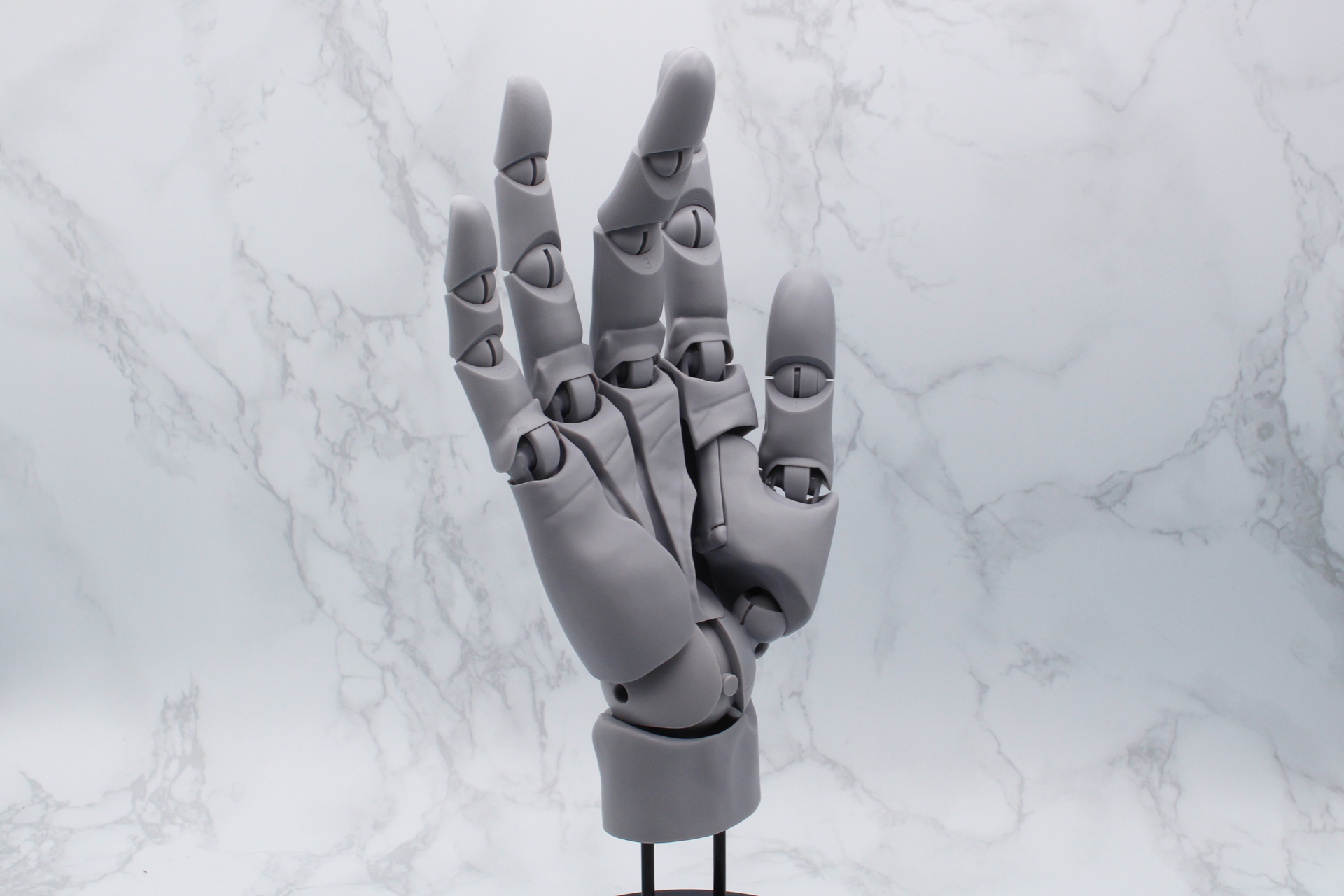 印相（仏像の手の形）を模してみると、その美しさが際立った