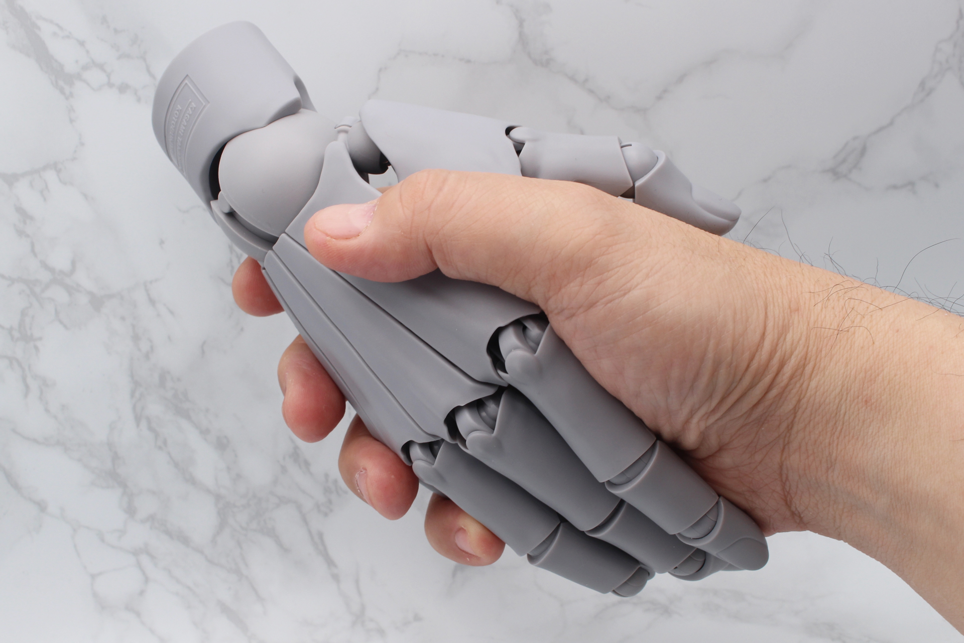 1/1スケールなので、実物の手を絡めた遊びもできるだろう