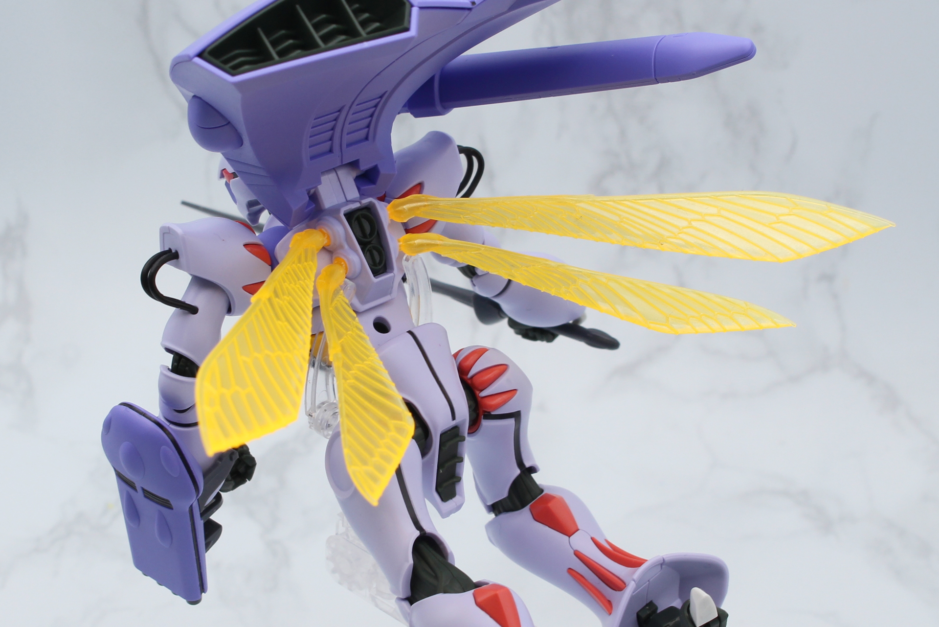 明かりの下に置くだけで翅の翅脈が浮き上がって見える