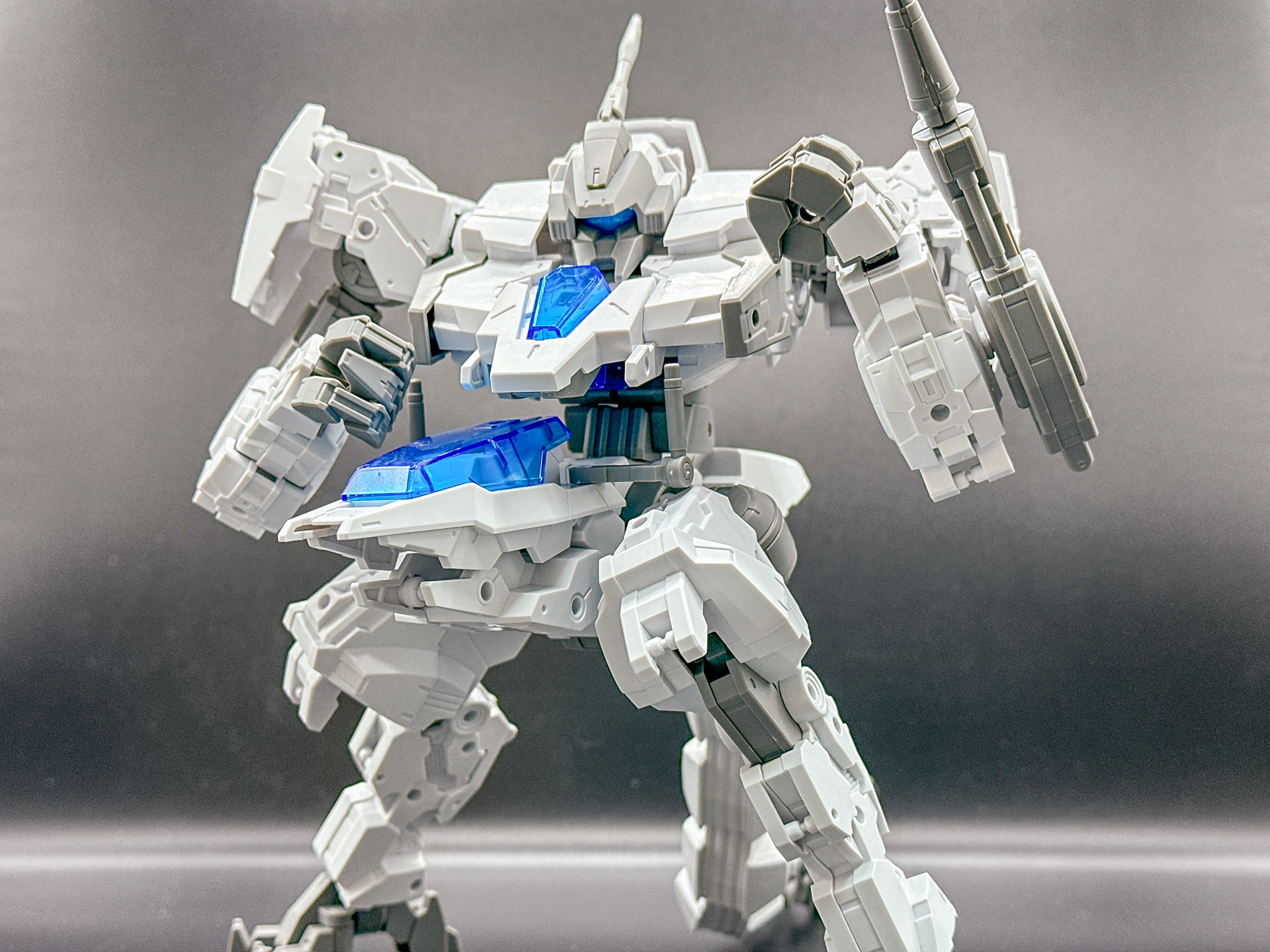 ファイティングポーズをとらせてみました。マッシブな体型なのでこういったファイティングポーズが似合います。