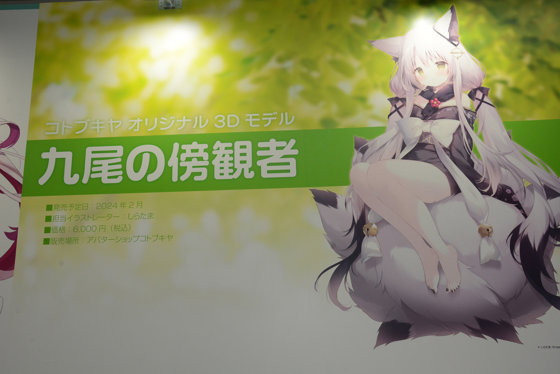 展示コーナー。裸眼立体視が可能な「ELF-SR1」で展示