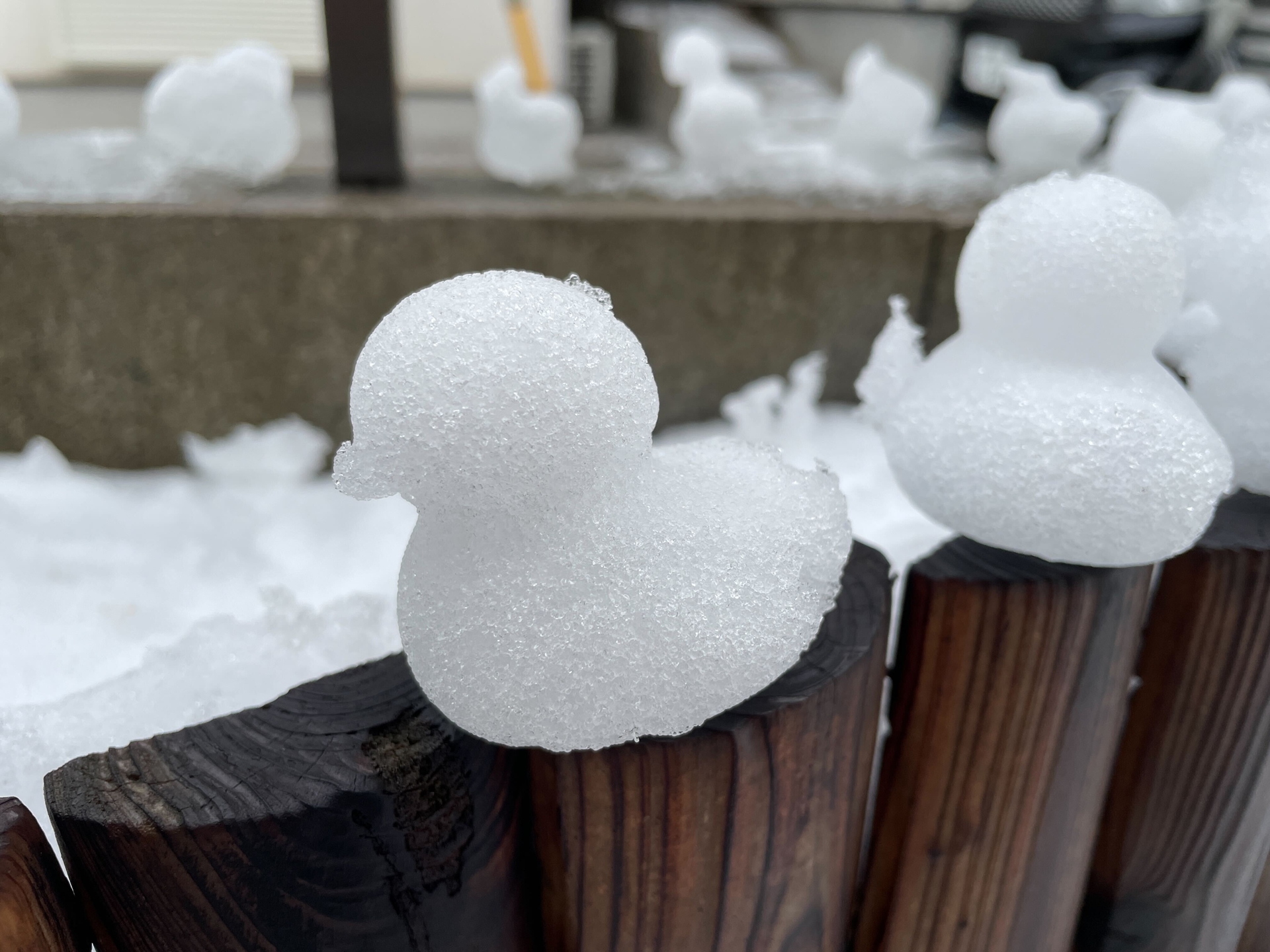 小さなアヒルの雪玉を大量に作れる