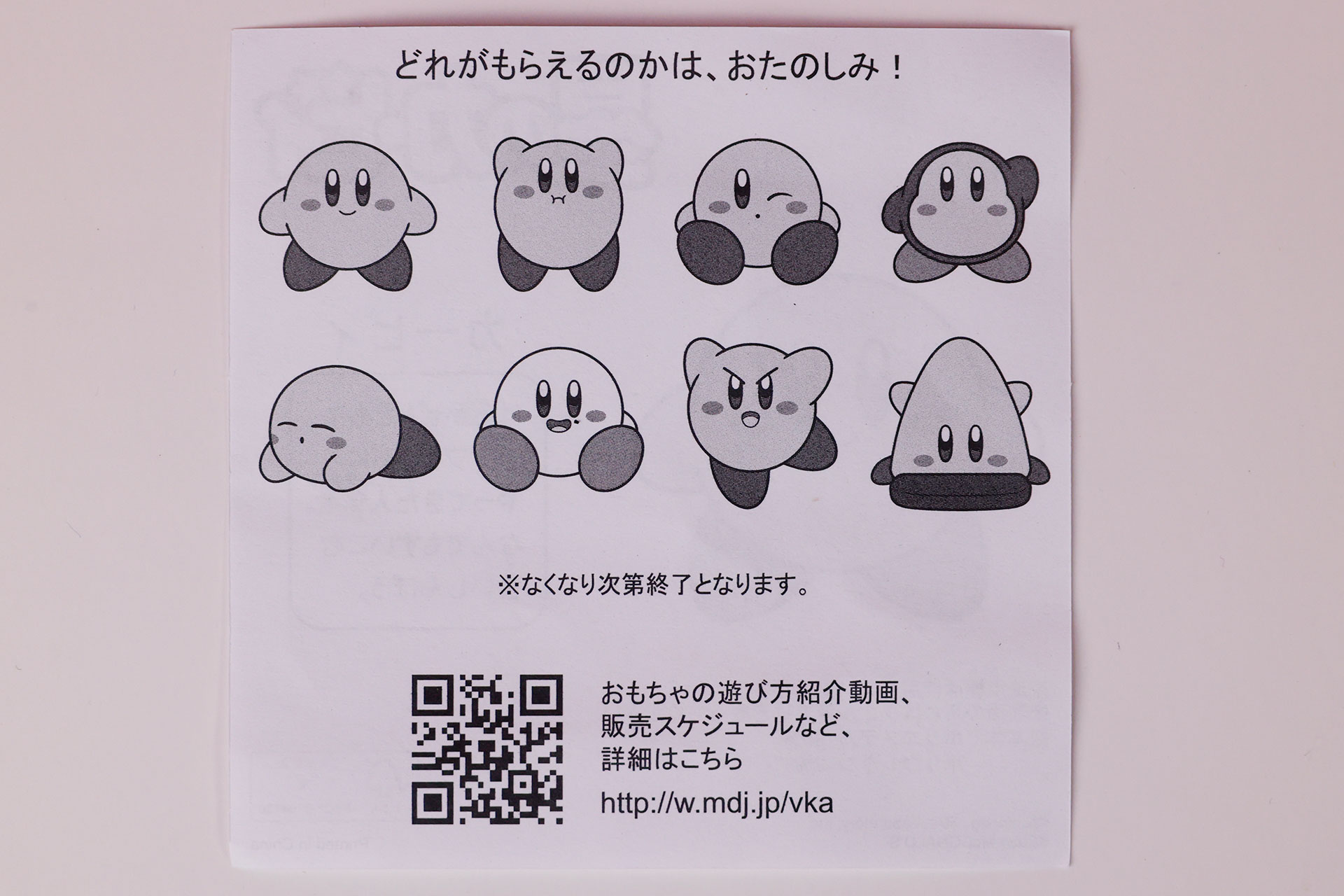 説明書の裏面は全部のおもちゃに共通のものとなっている