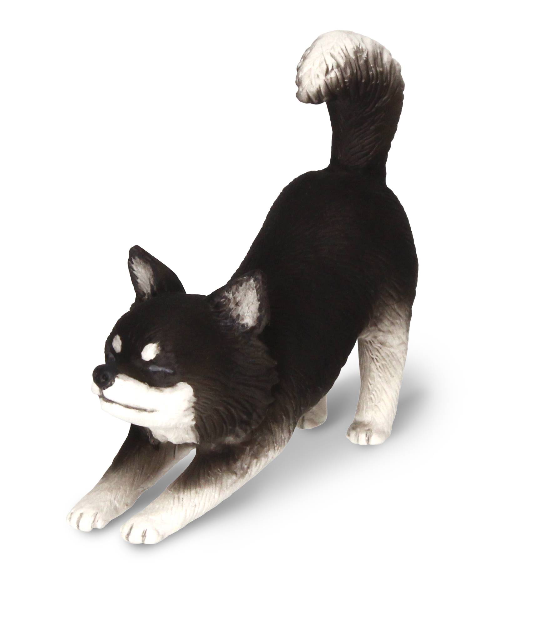 【チワワ】の のびズム