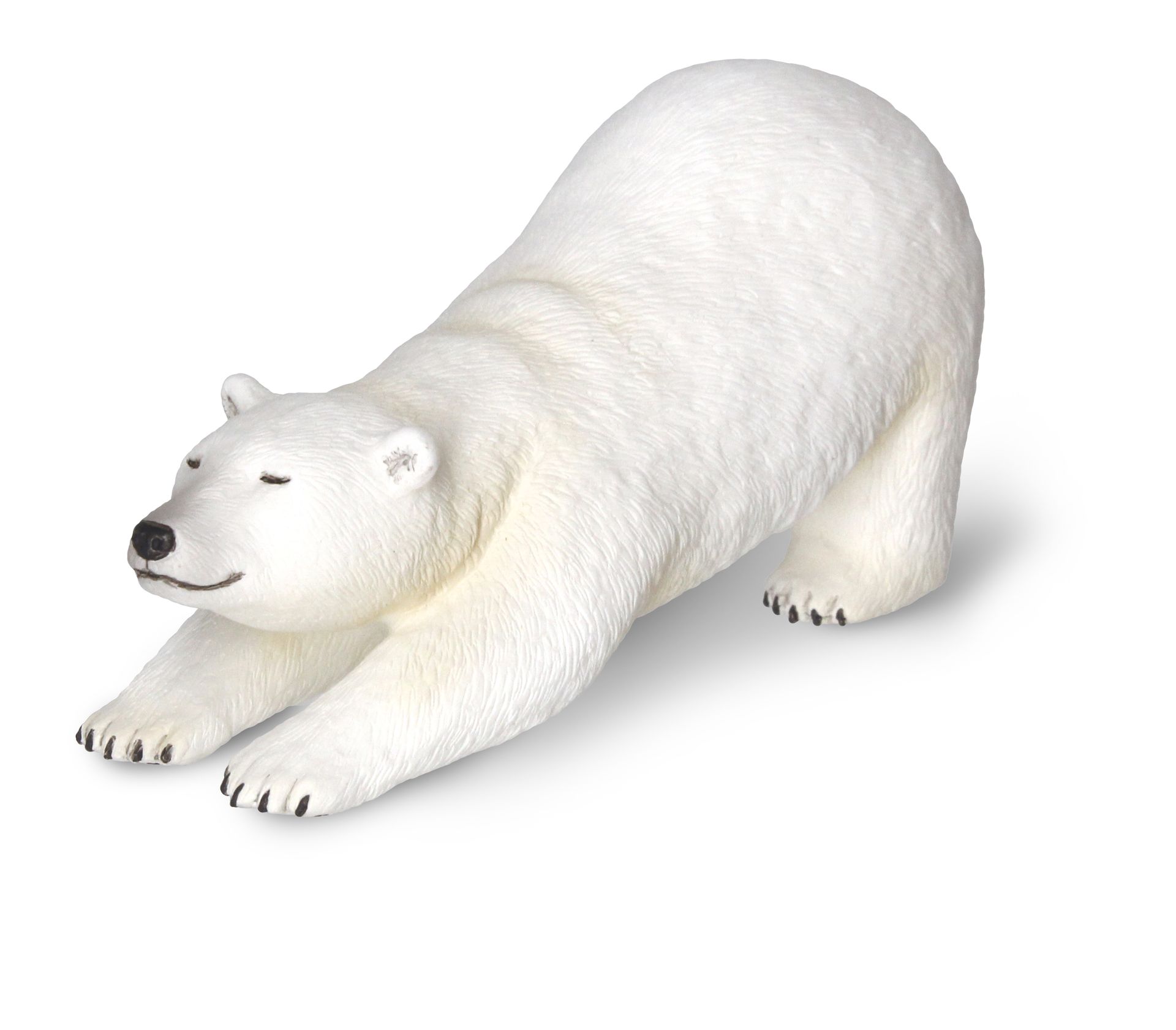 【シロクマ】の のびズム