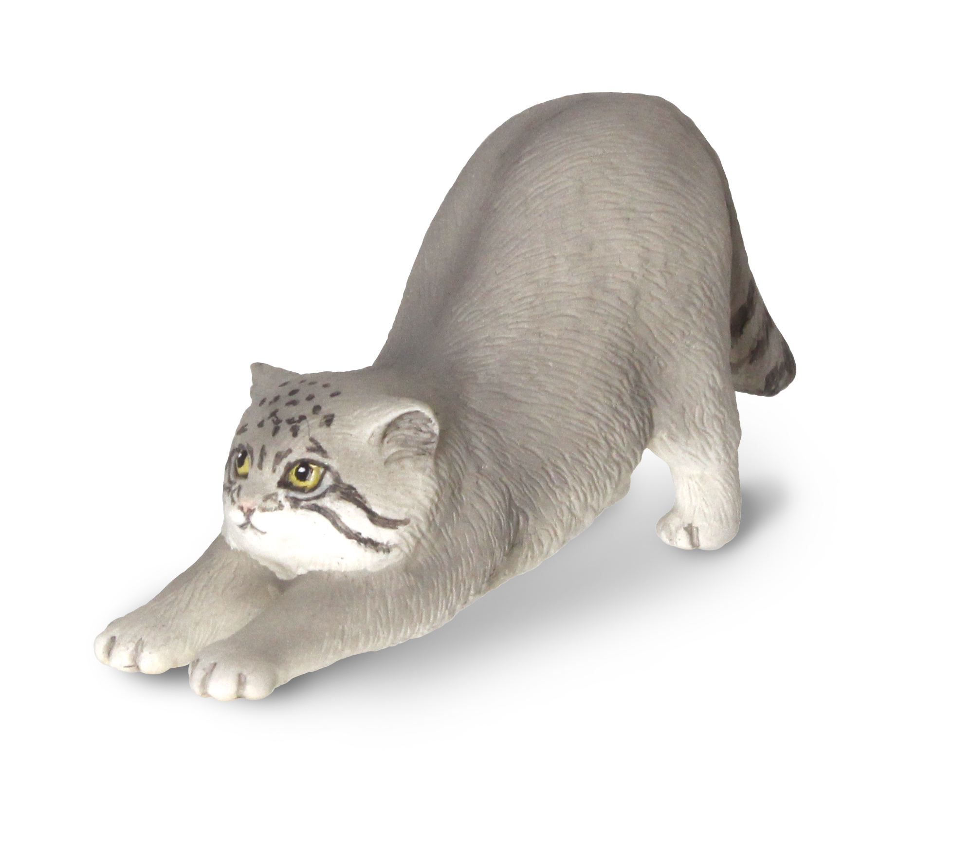 【マヌルネコ】の のびズム