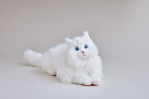 ◎ 本物そっくり ラグドール 動く 猫ロボット ペット おもちゃ Amazon.co.jp: 本物そっくりラグドール 動く 猫ロボット : おもちゃ