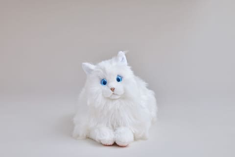 リアルなペットロボット「KIMIT ラグドール」がセガトイズから2