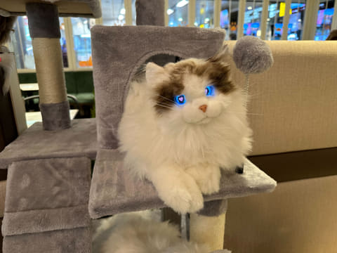 値下げしました！ネコロボット　KIMIT（キミット）追記必読⭐︎ ペットロボットの常識が変わる！本物の猫と見間違えるほどの
