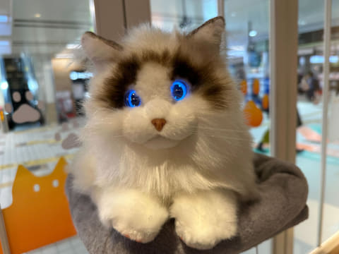 ◎ 本物そっくり ラグドール 動く 猫ロボット ペット おもちゃ Amazon.co.jp: 本物そっくりラグドール 動く 猫ロボット : おもちゃ