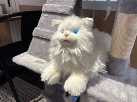 ◎ 半額以下❗️本物そっくり ラグドール 動く 猫ロボット ペット おもちゃ 51NiCaIOpEL._AC_UL210_SR210,