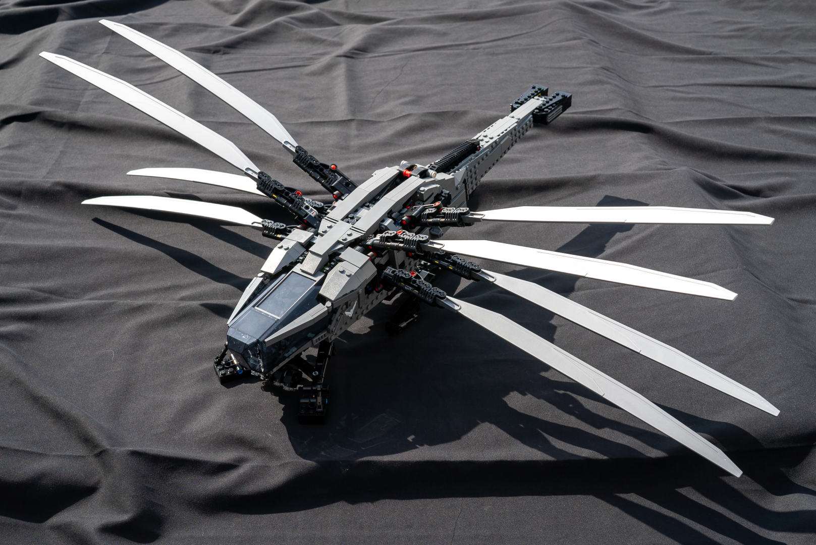 ロイヤル・オーニソプターの背面。後ろから見ると生物感がある