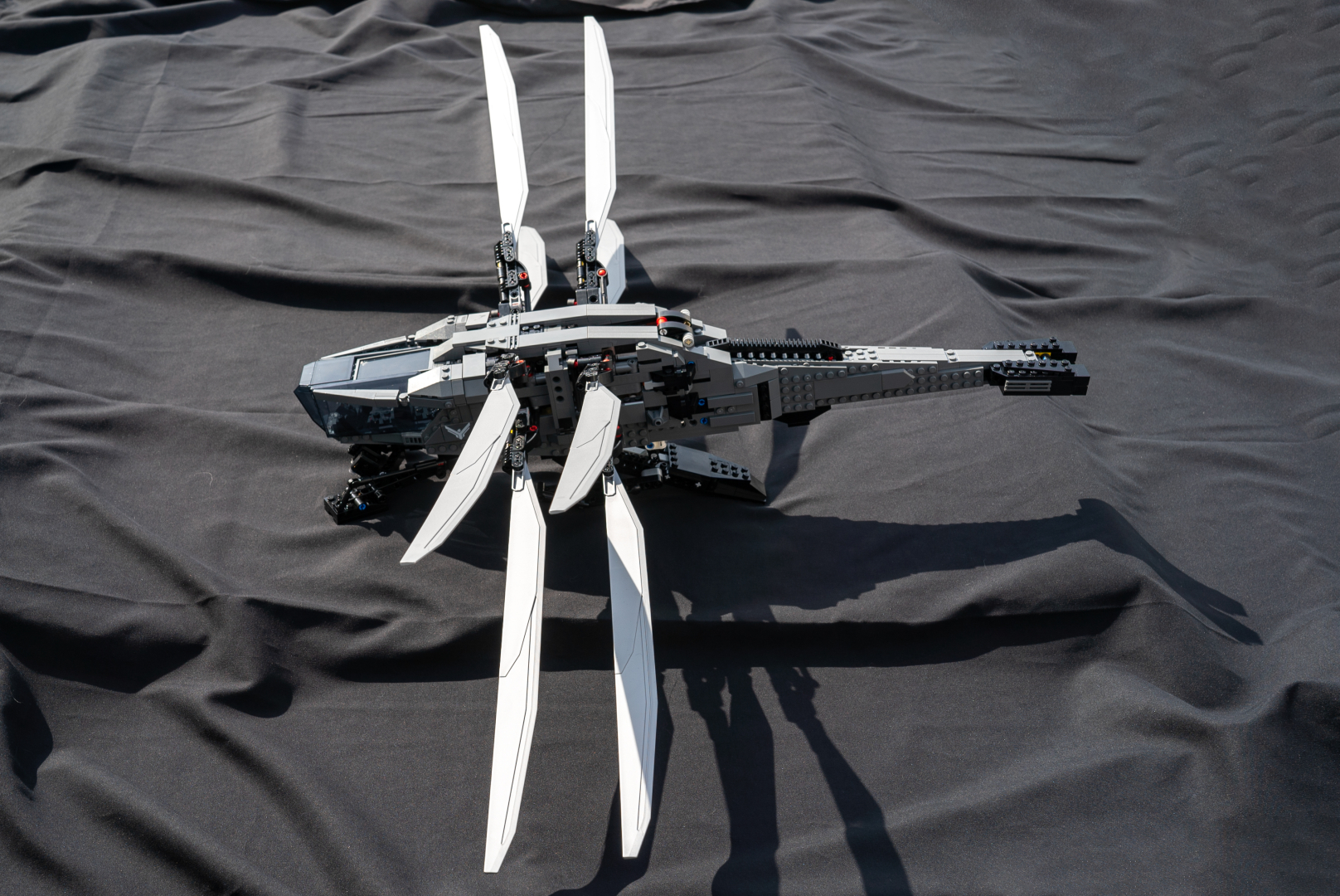 ロイヤル・オーニソプターの背面。後ろから見ると生物感がある