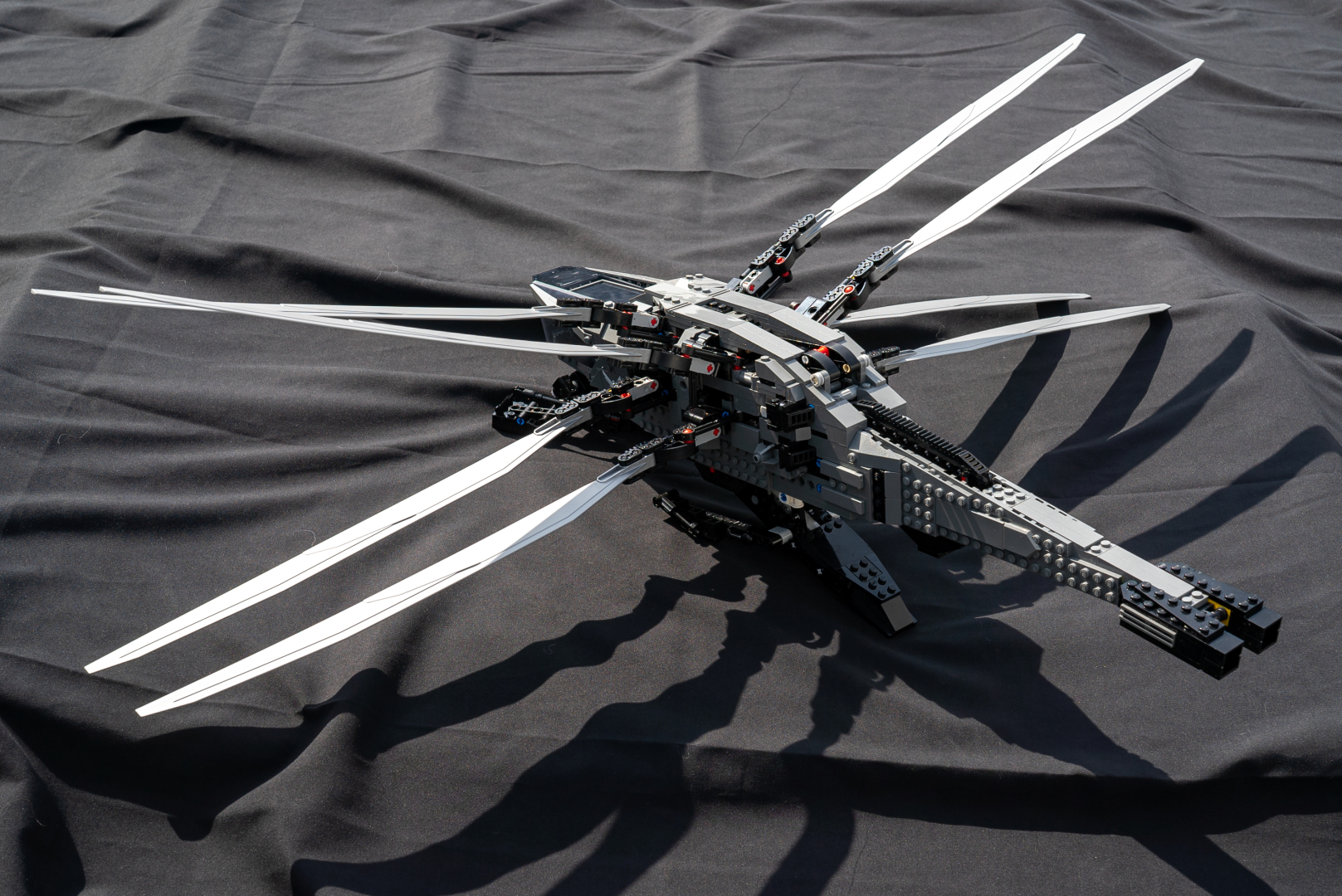 ロイヤル・オーニソプターの背面。後ろから見ると生物感がある