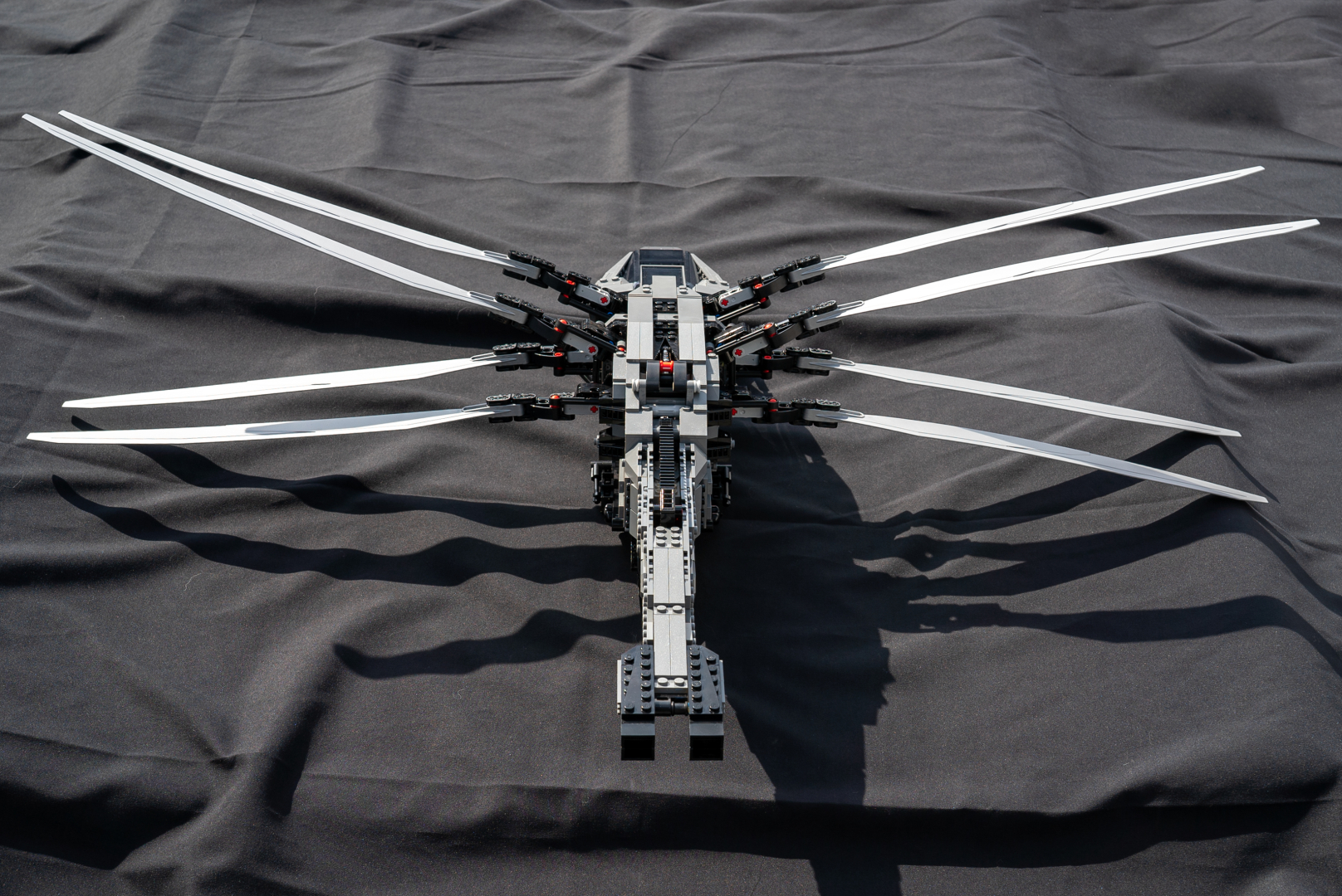 ロイヤル・オーニソプターの背面。後ろから見ると生物感がある