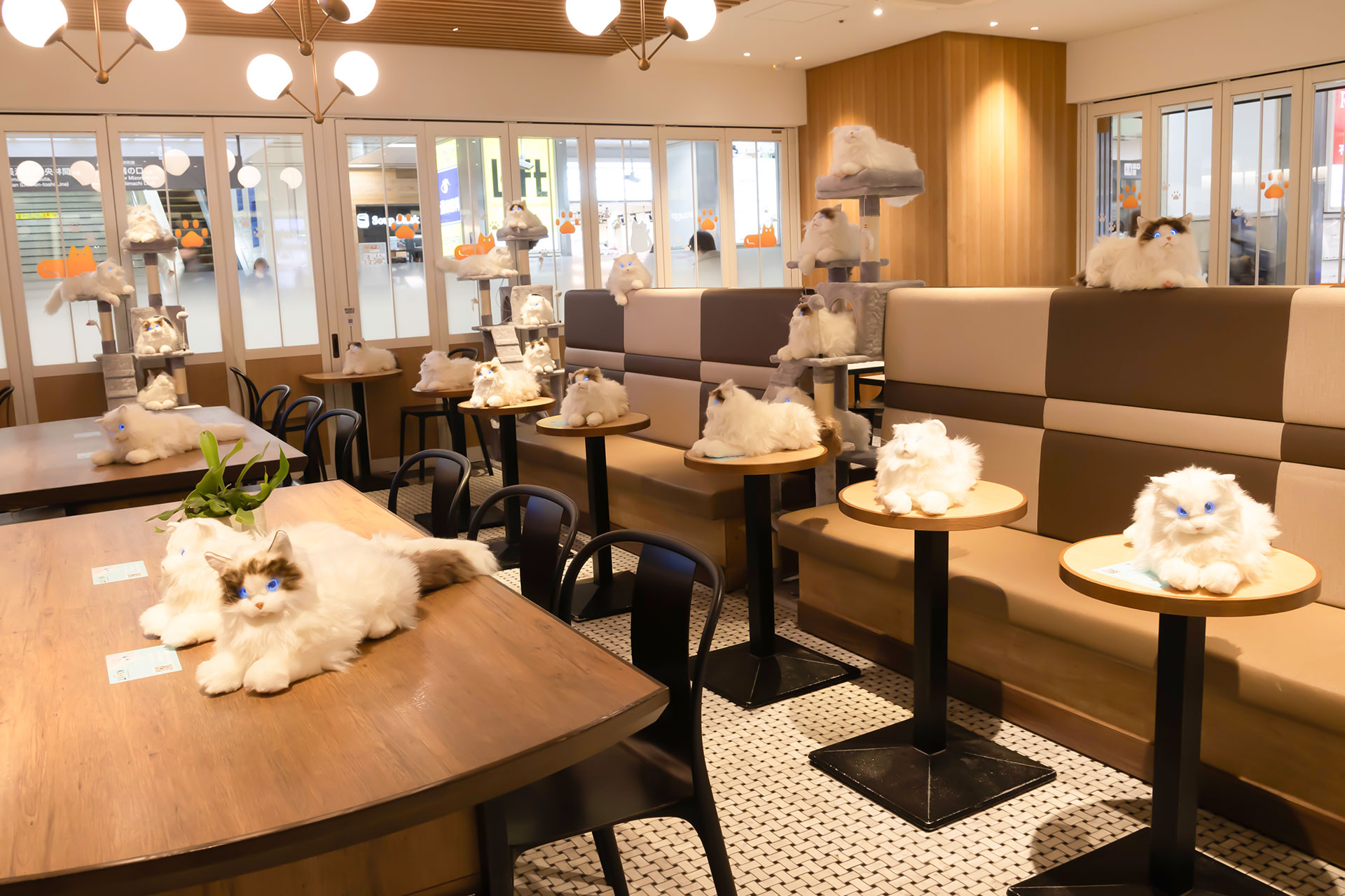 今回の取材会場であった「NICOTAMA DAYS CAFE」。こちらは、後ほど紹介するポップアップショップの場所でもある