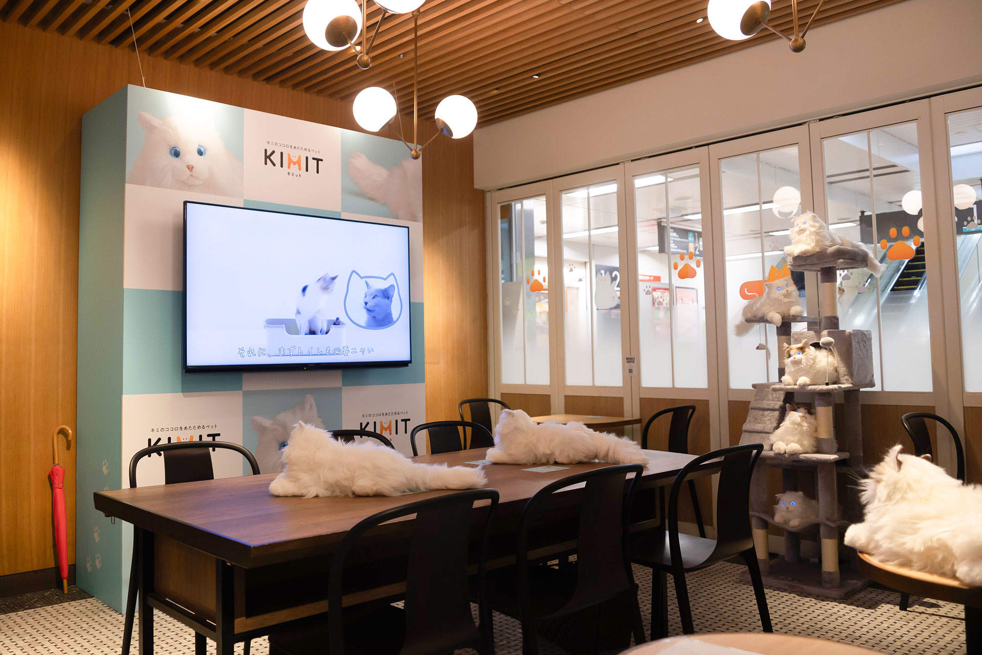 2月22日から期間限定で「ねこTAMA DAYS CAFE」が開催！