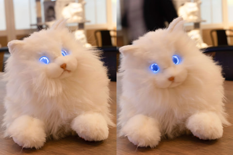 ◎ 本物そっくり ラグドール 動く 猫ロボット ペット おもちゃ 61hzKDu9iML._UF894,1000_QL80_.jpg