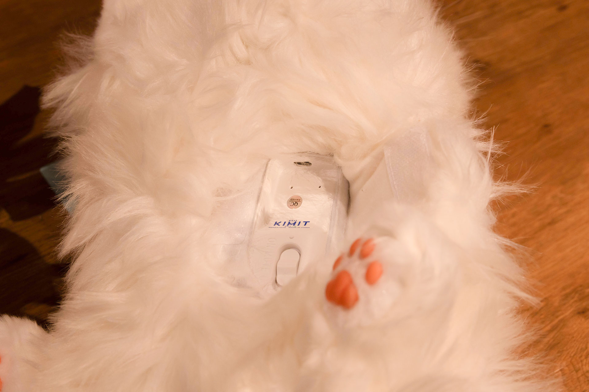 普段は隠されていて見えないが、お腹の部分に充電用のUSBポートやスイッチが設置されている