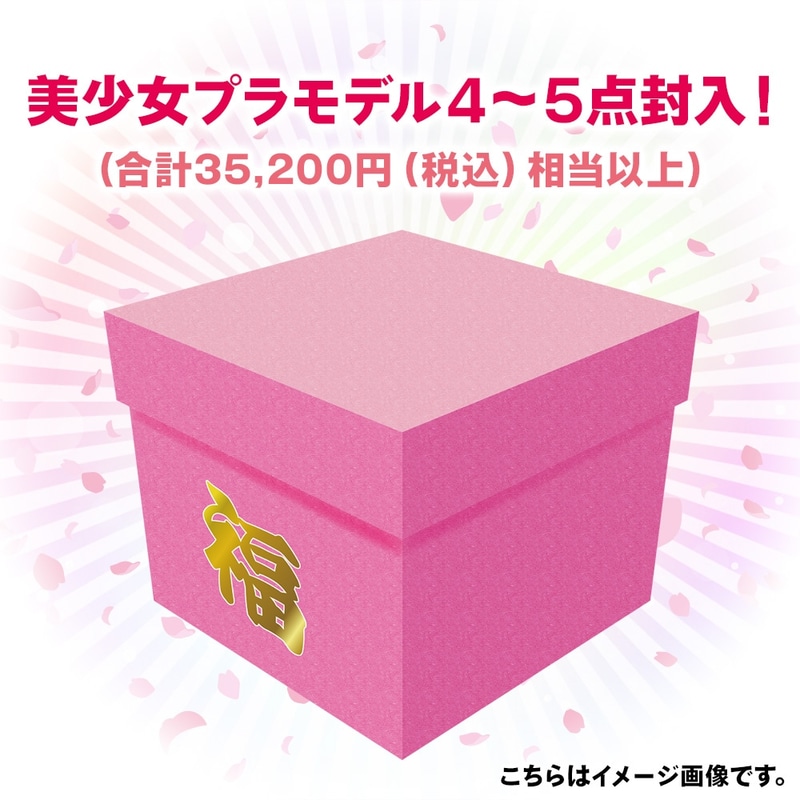 美少女プラモデル福箱 2024春 価格：16,500円