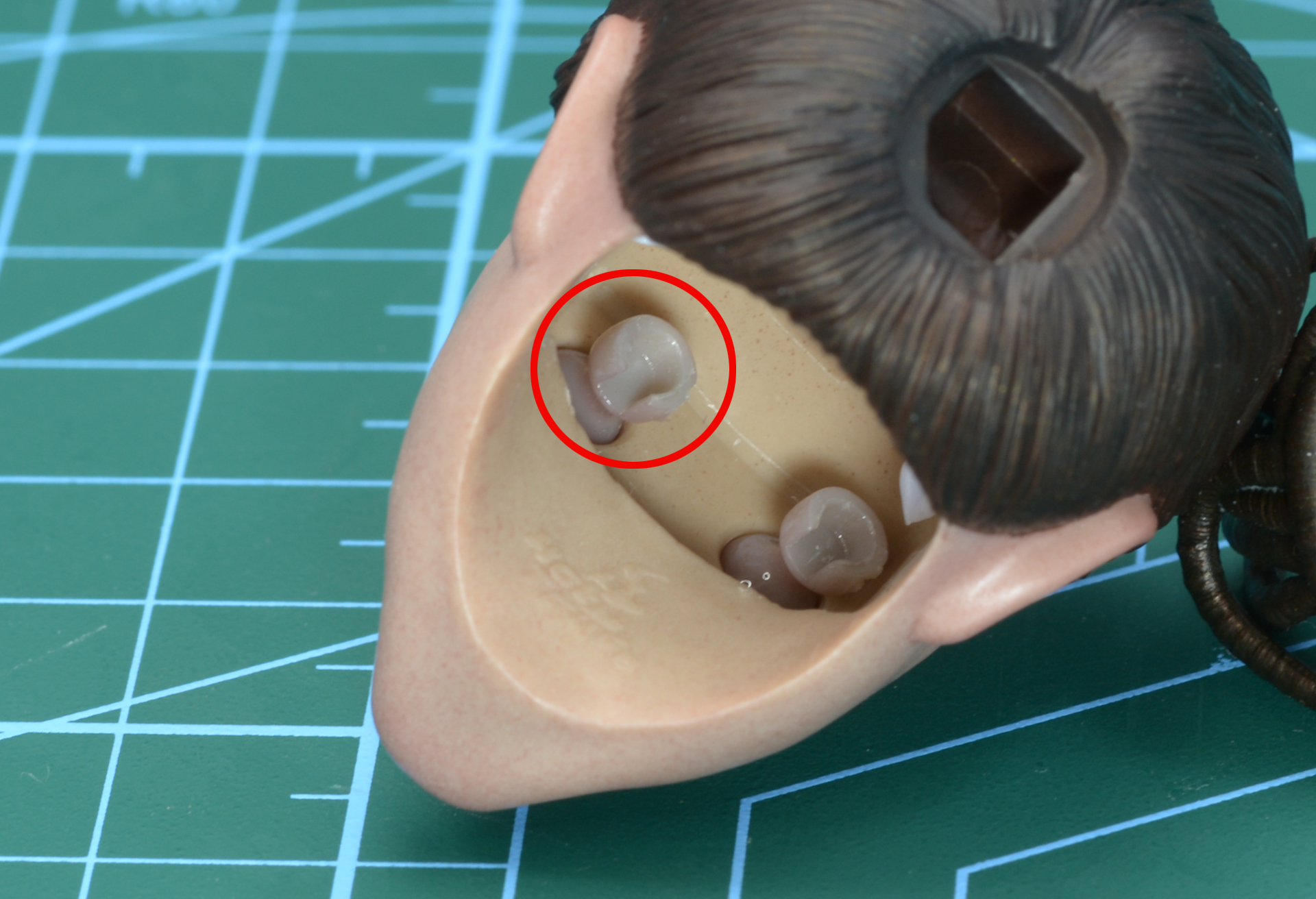 顔の裏の眼球に仕込まれた凹み部分に専用の器具を使って眼球を移動させる。赤丸の部分が器具を差し込む部分だ