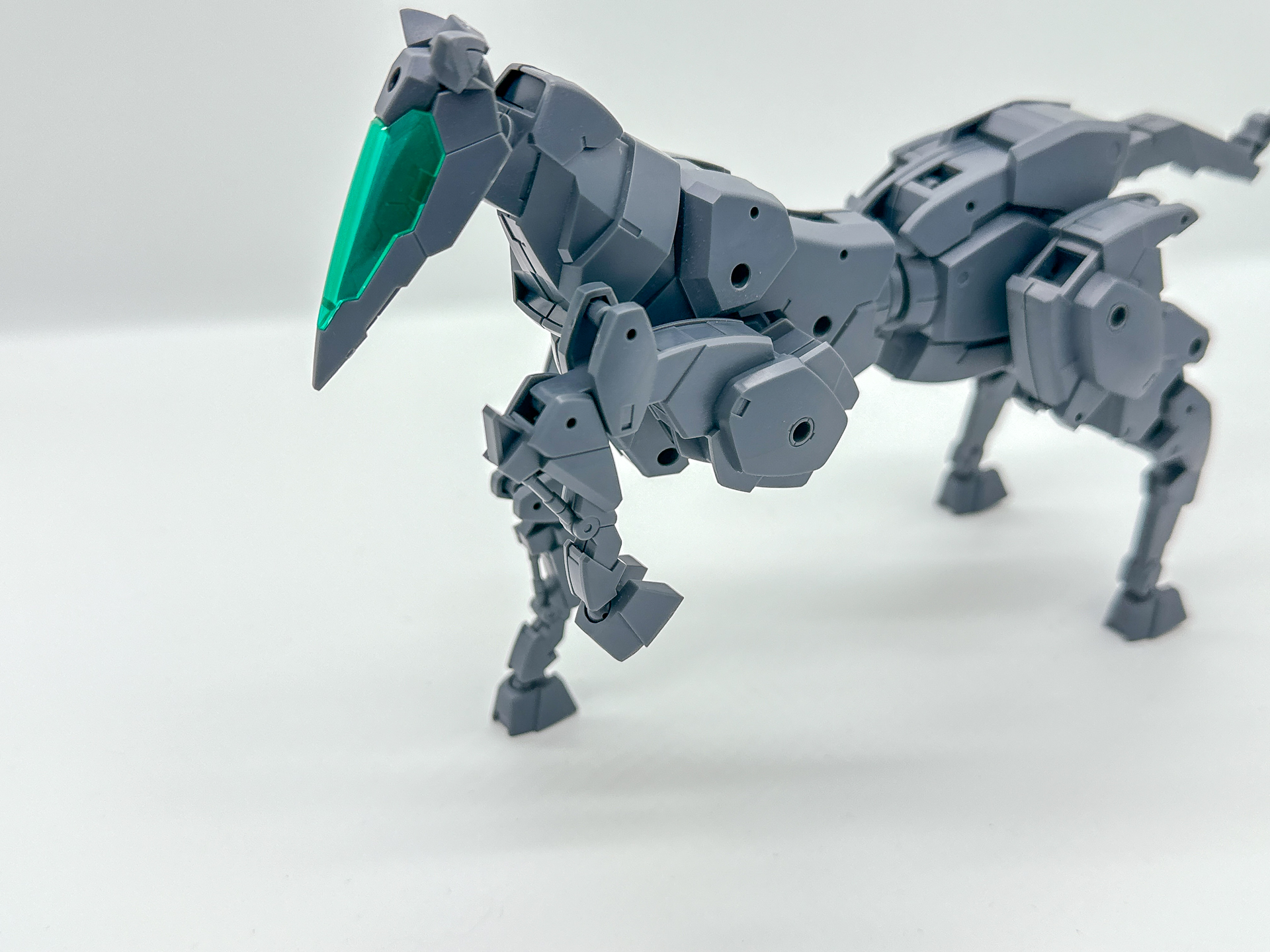 前脚は胸部との接続部以外に腕節と球節が可動します。