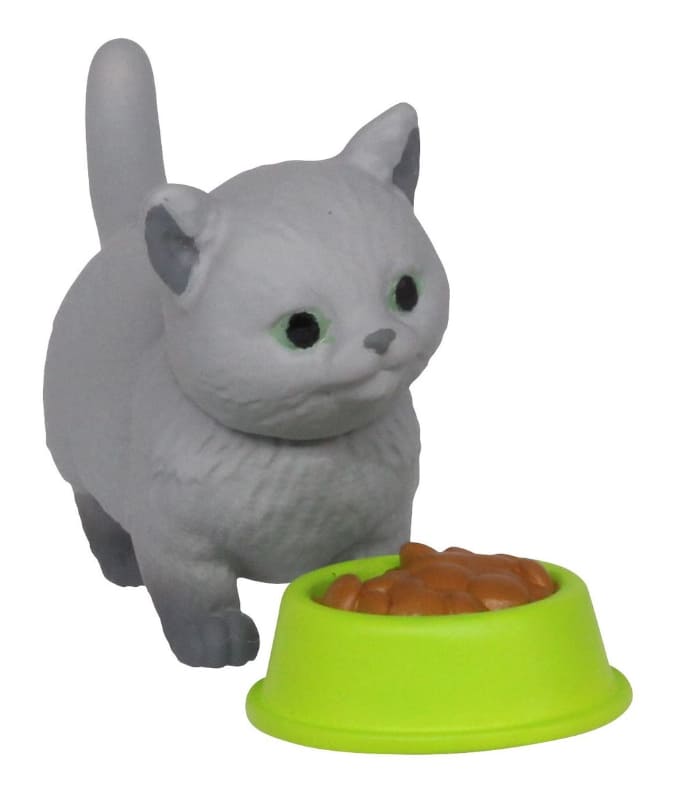 マンチカン（ロイヤルグレー）