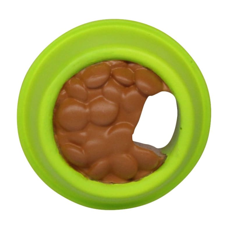 マンチカン（ロイヤルグレー）